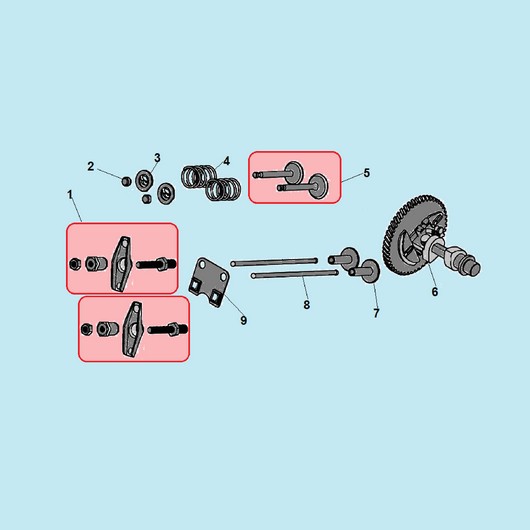 Распредвал и клапана Champion ST246